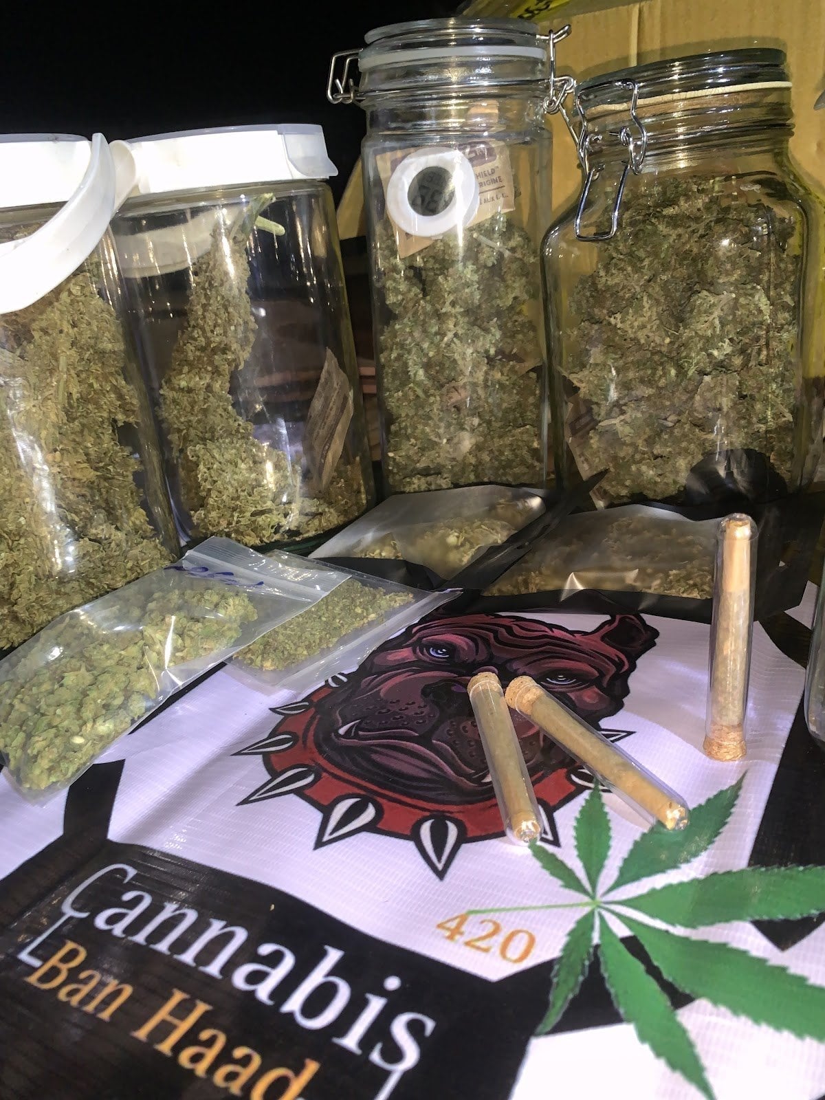 Cannabis Banhaad