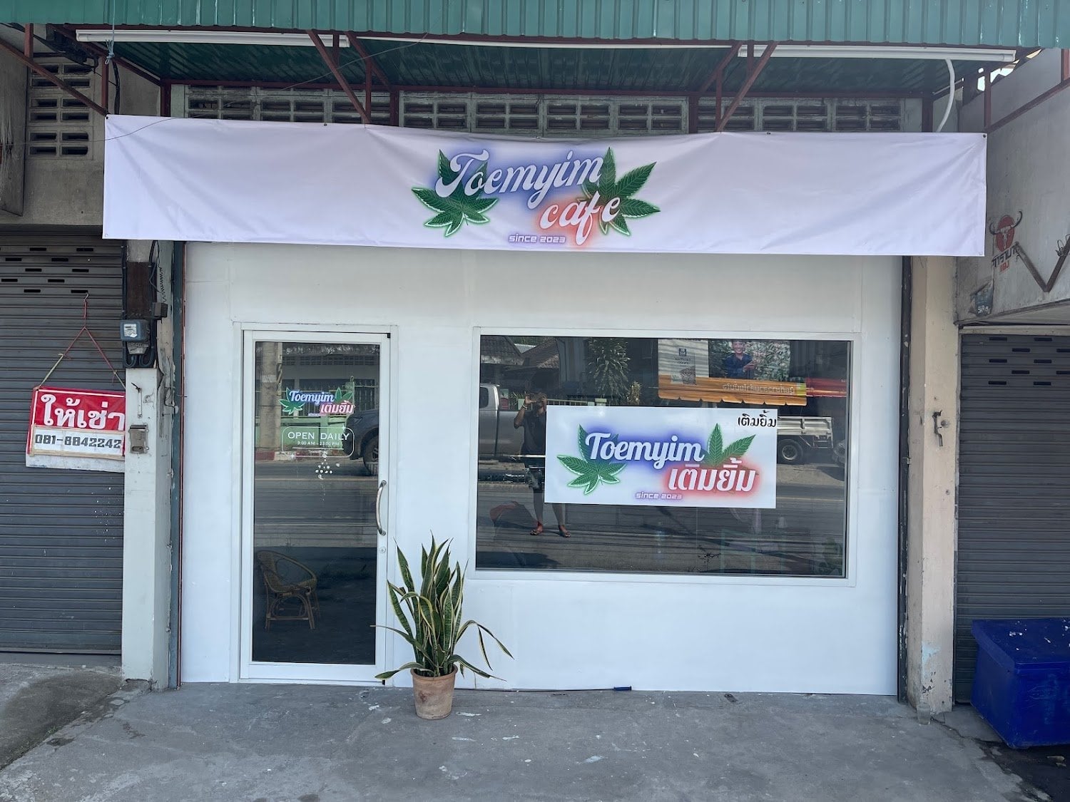 Cannabis Shop Old City