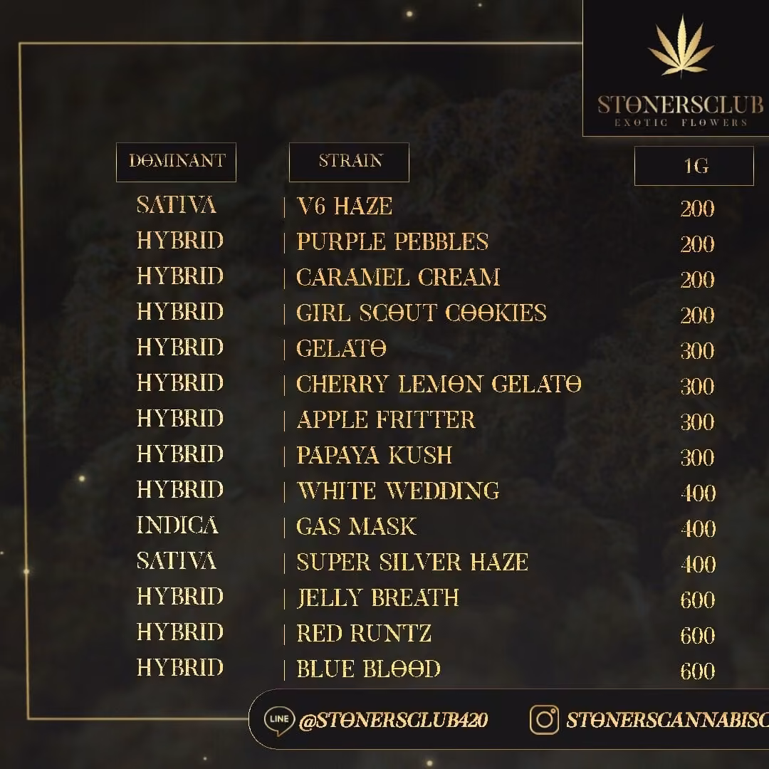 Cannabis Dispensary Stonercornerth in Bangkok logo
